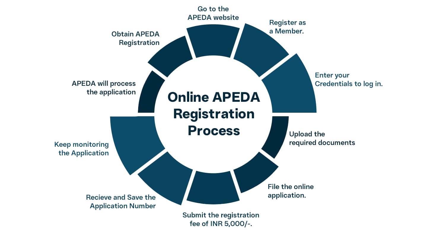 Apeda Registration Process